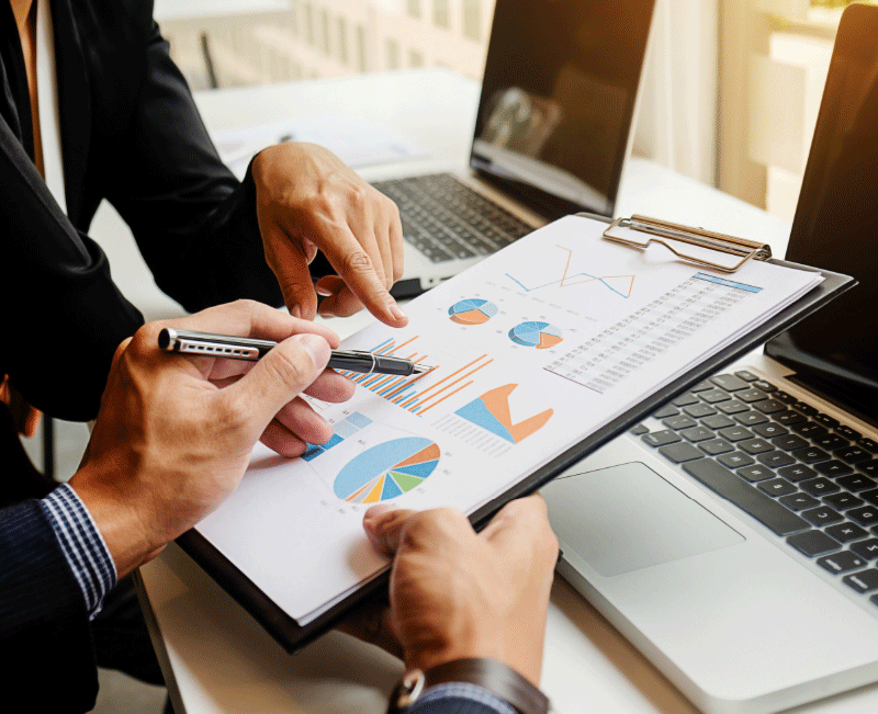 IRAPL consulting services